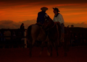hästar i solnedgång